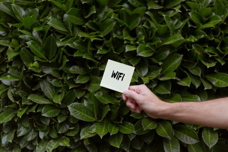 Dłoń trzymająca kartkę z napisem WiFi na tle zielonych liści